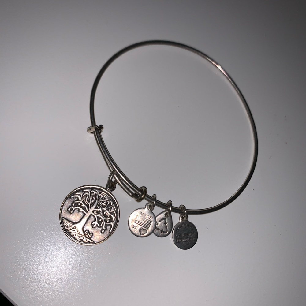 Alex and Ani tree of life silver bracelet